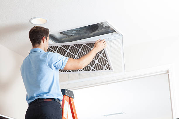 Best Air Filters and Purifiers in Frankfort, IL